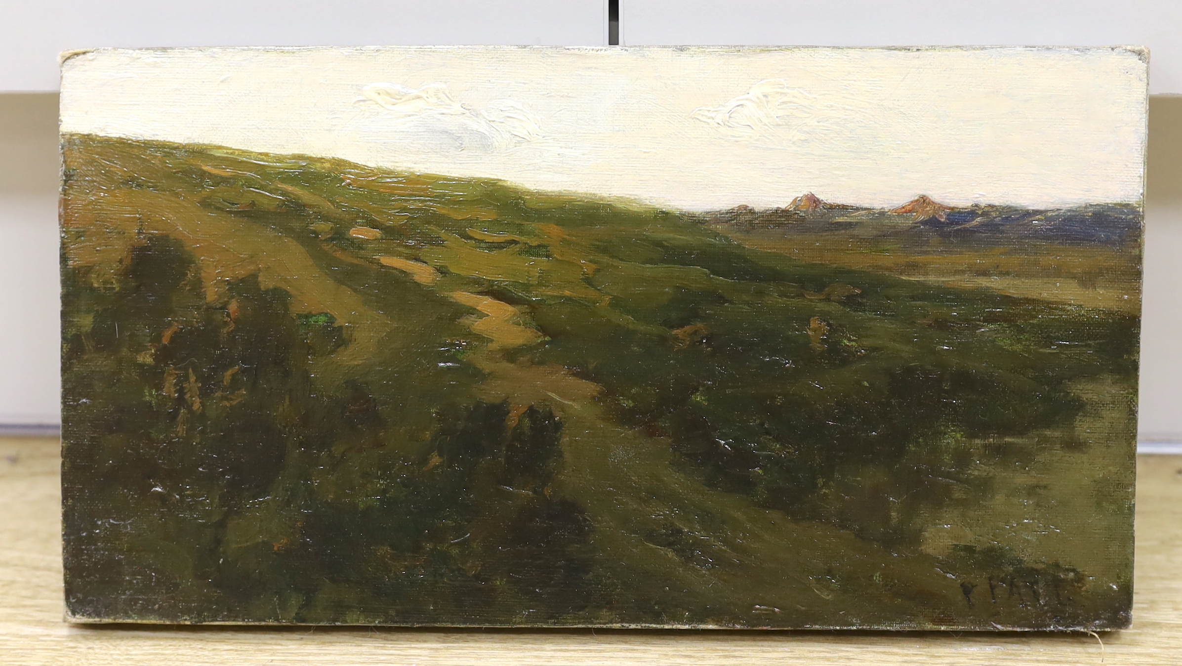 Paul Politachi (Paul Paul, Staithes Group 1865-1937), oil on canvas, Mountain landscape, signed, 18 x 33cm, unframed